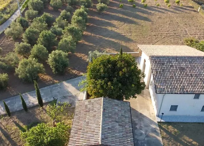 Estate In Campagna